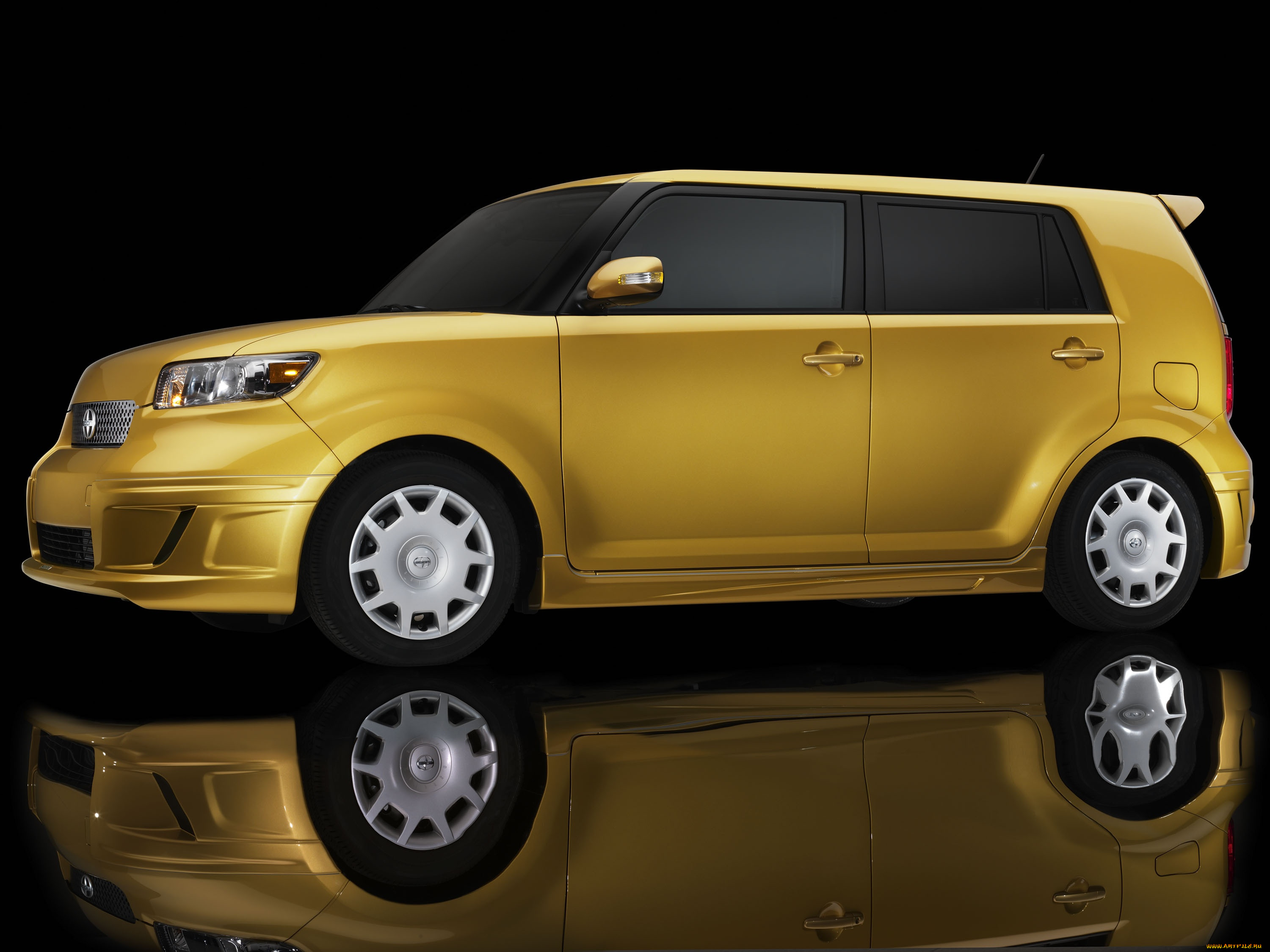 , scion
